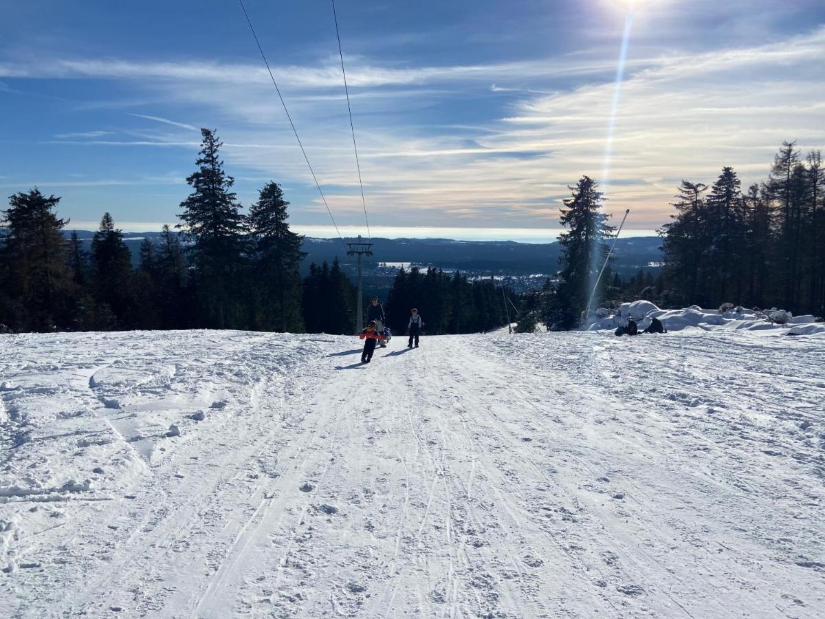 Luxuriöse 3-Zi. Ferienwohnung Jagdromantik 200 m bis zur Wurmbergsseilbahn Braunlage Exterior foto